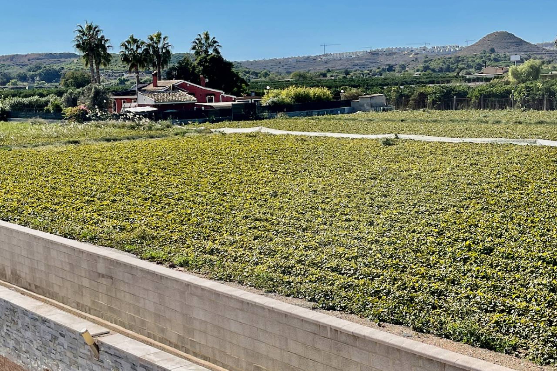 Luxury 6-bedroom villa with a private pool and panoramic views in Guardamar