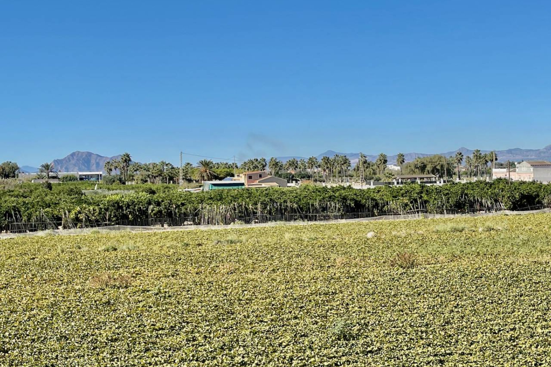 Luxury 6-bedroom villa with a private pool and panoramic views in Guardamar