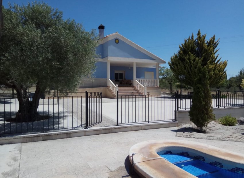 Luxury villa with a private pool and large garden in Yecla, near the city center