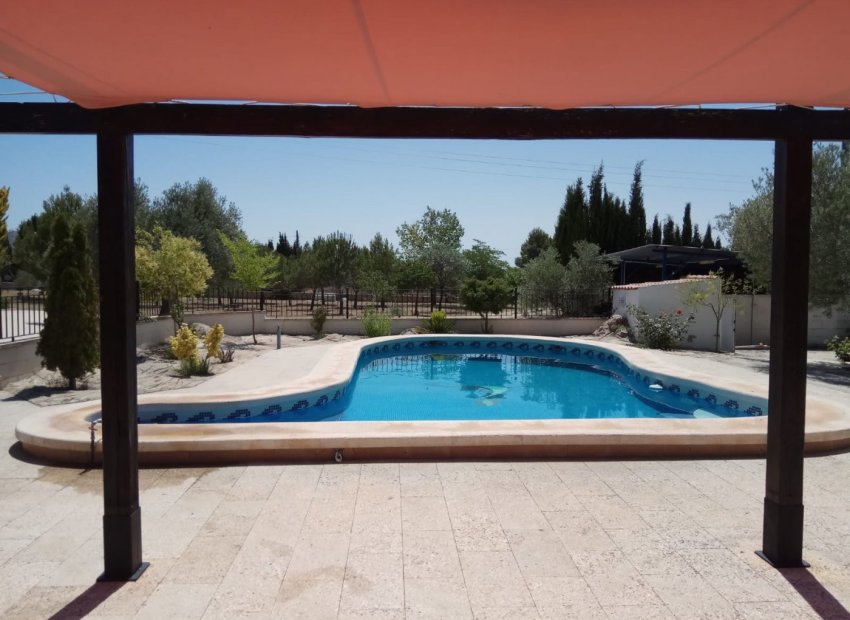 Luxury villa with a private pool and large garden in Yecla, near the city center