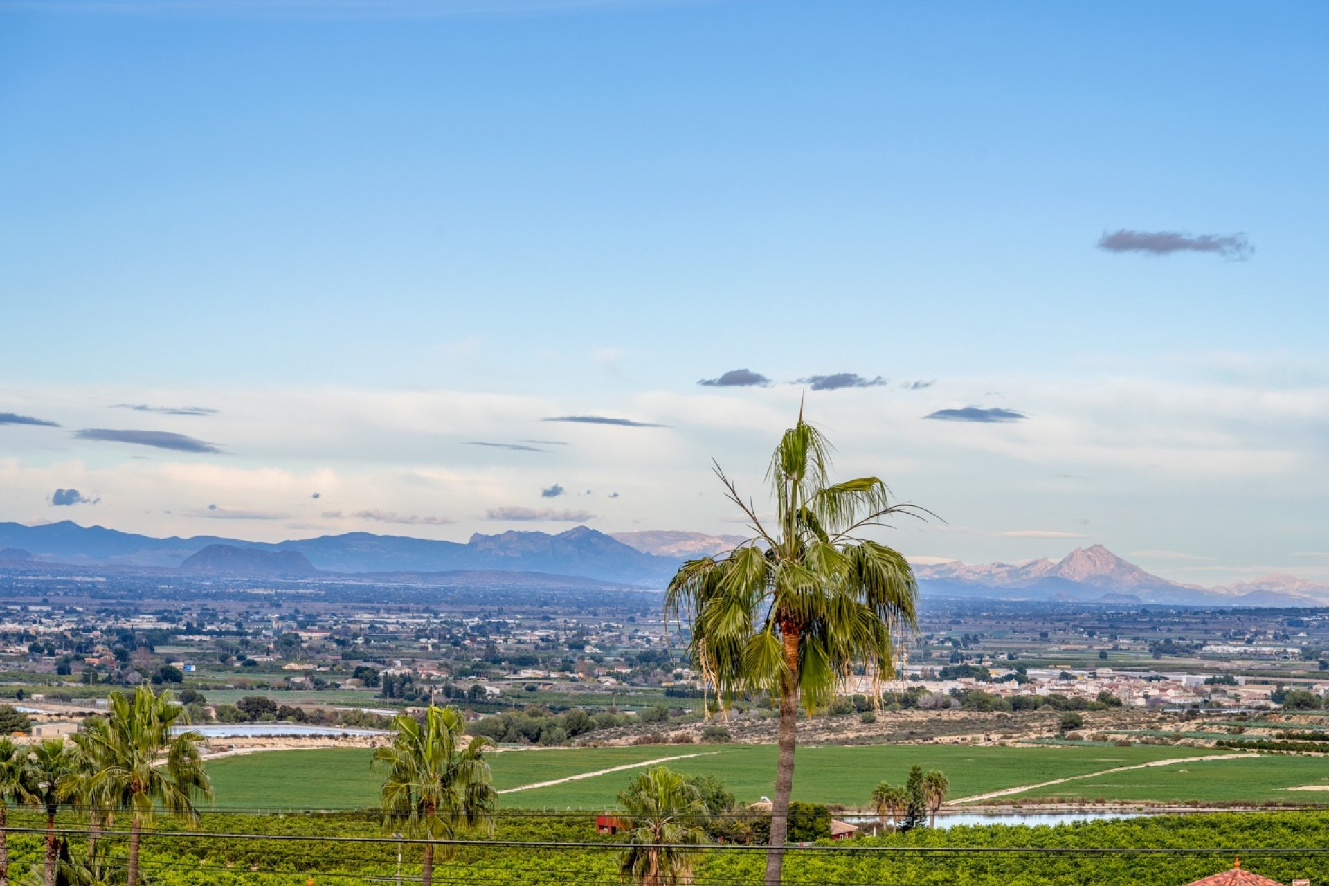Moderne villa met privézwembad, uitzicht & luxe afwerking in Algorfa, Alicante