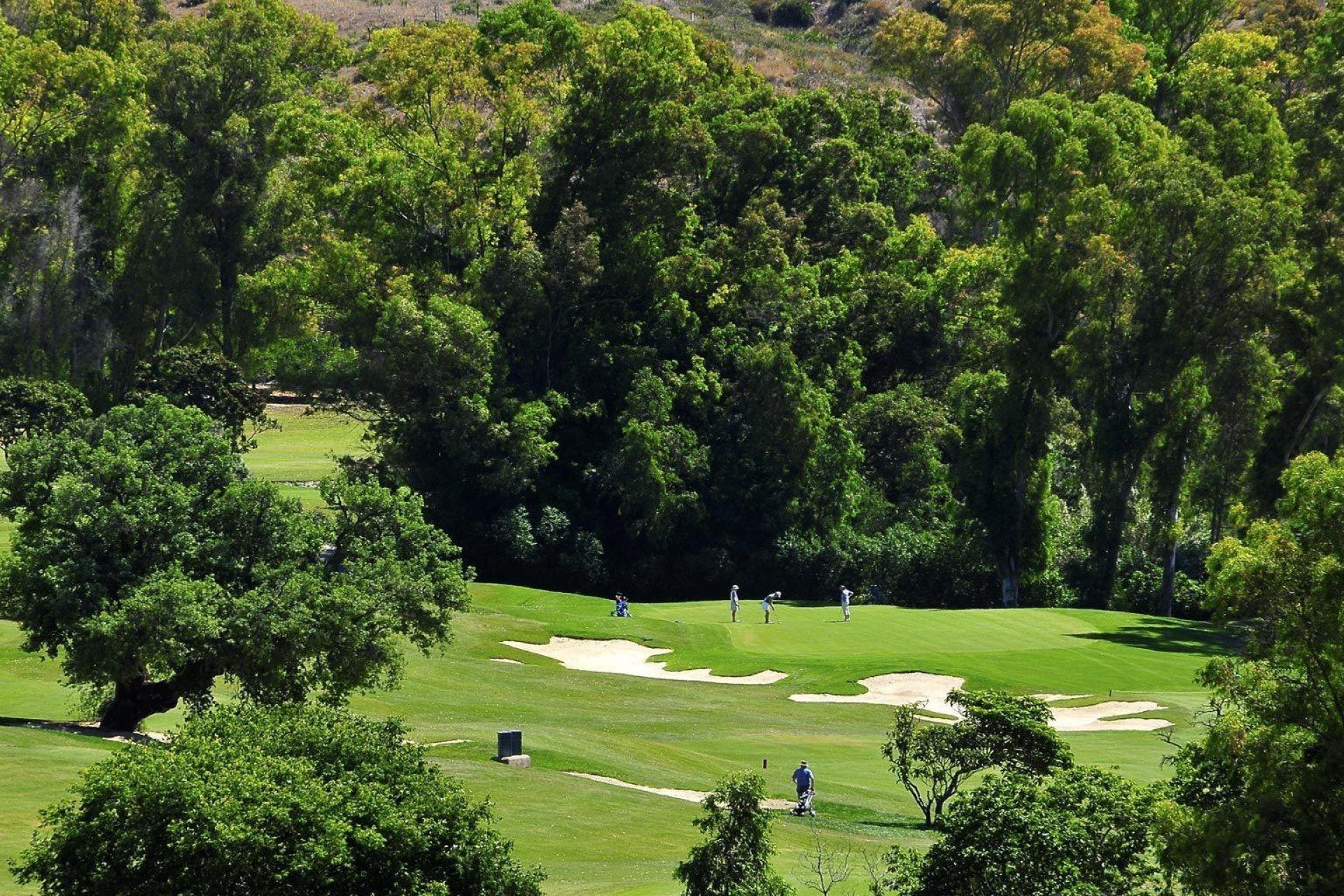 New Build - Apartment -
Mijas - Mijas Golf