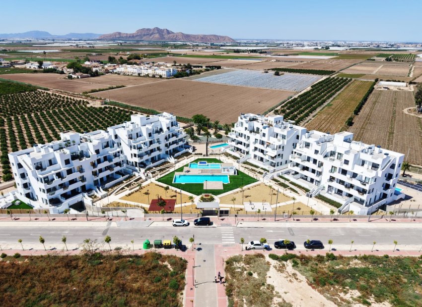 New Build - ground-floor -
Torre-Pacheco