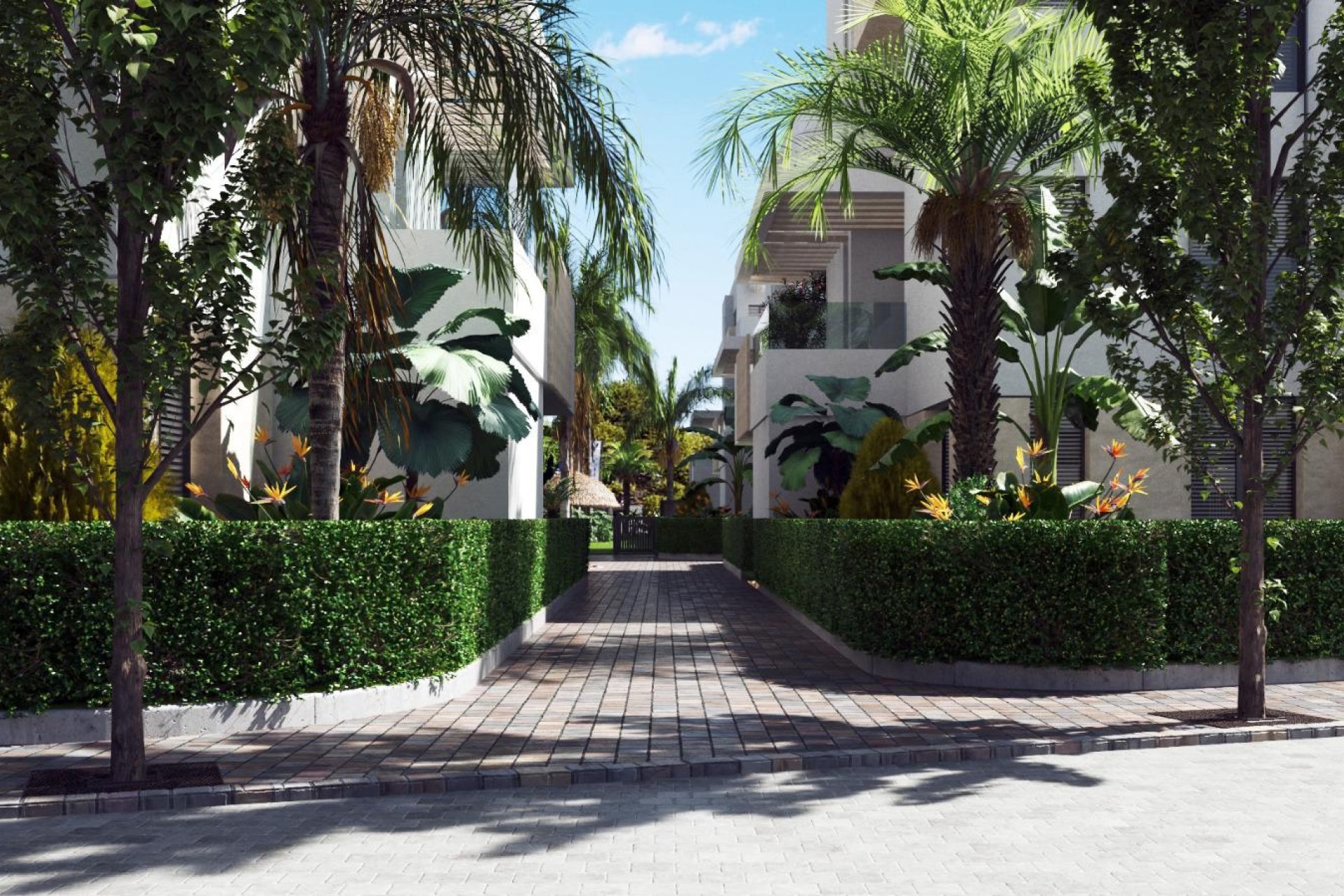 New Build - Penthouse -
Santa Rosalía