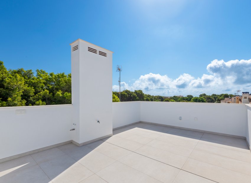 New Build - Villa -
Mil Palmeras