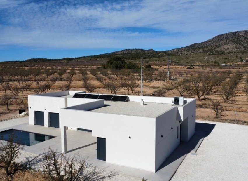 New Build - Villa -
Pinoso - Campo