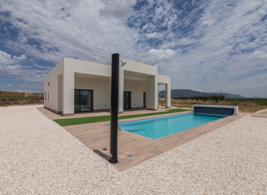 New Build - Villa -
Pinoso - Campo