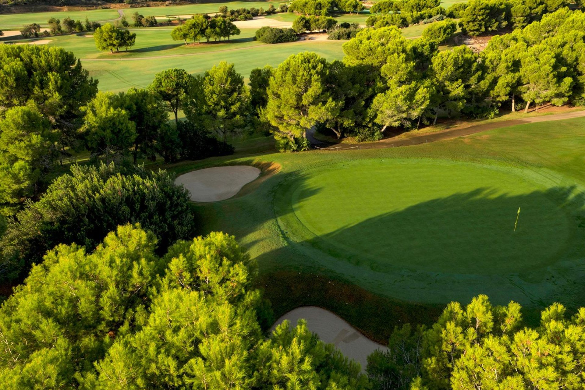 Nieuwbouw villa's in Lo Romero Golf Resort