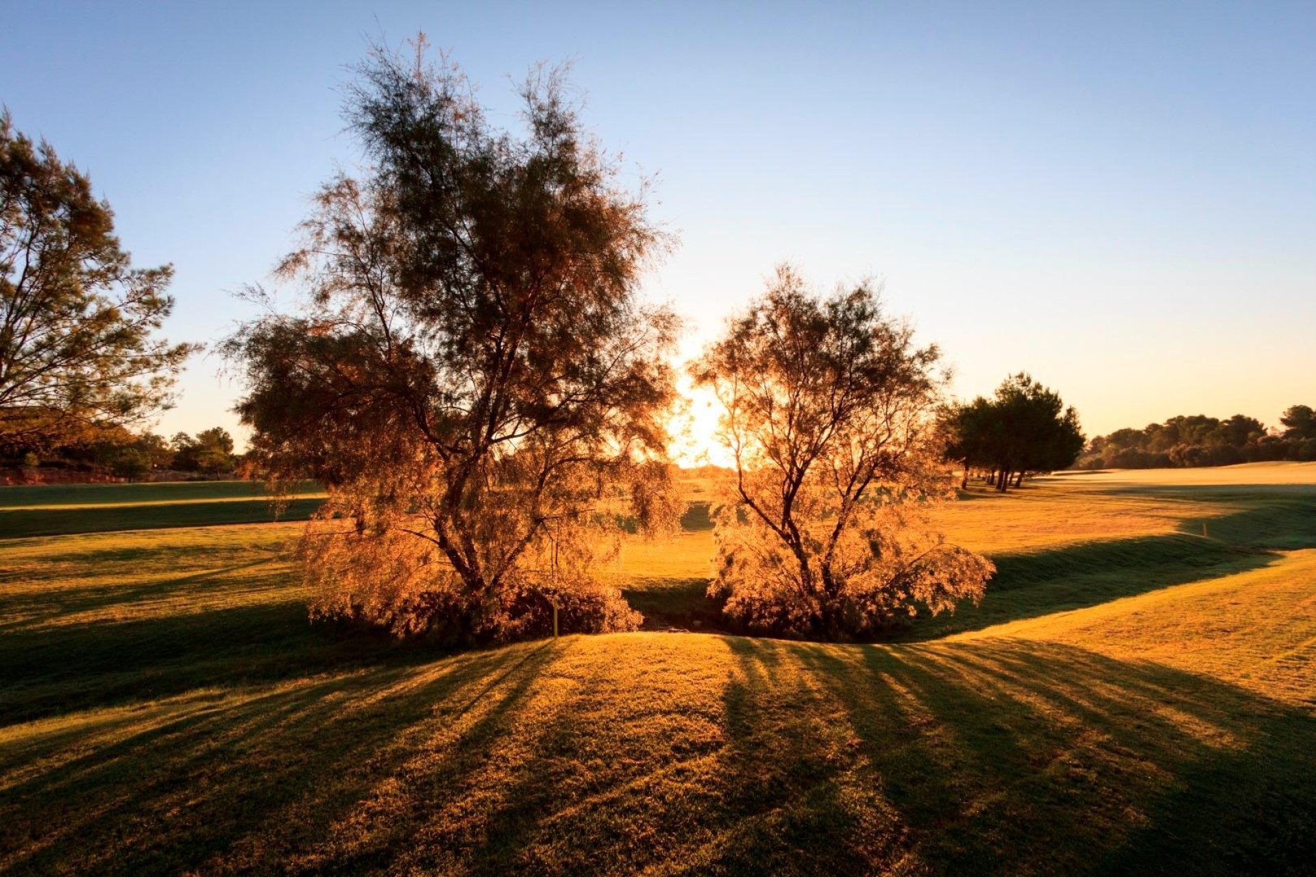 Nieuwbouw villa's in Lo Romero Golf Resort