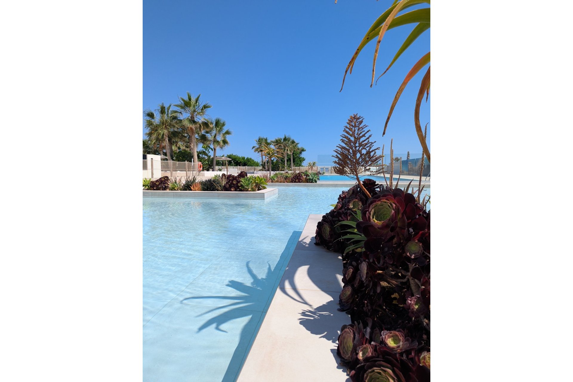 Nieuwbouw Woningen - Appartement -
Denia