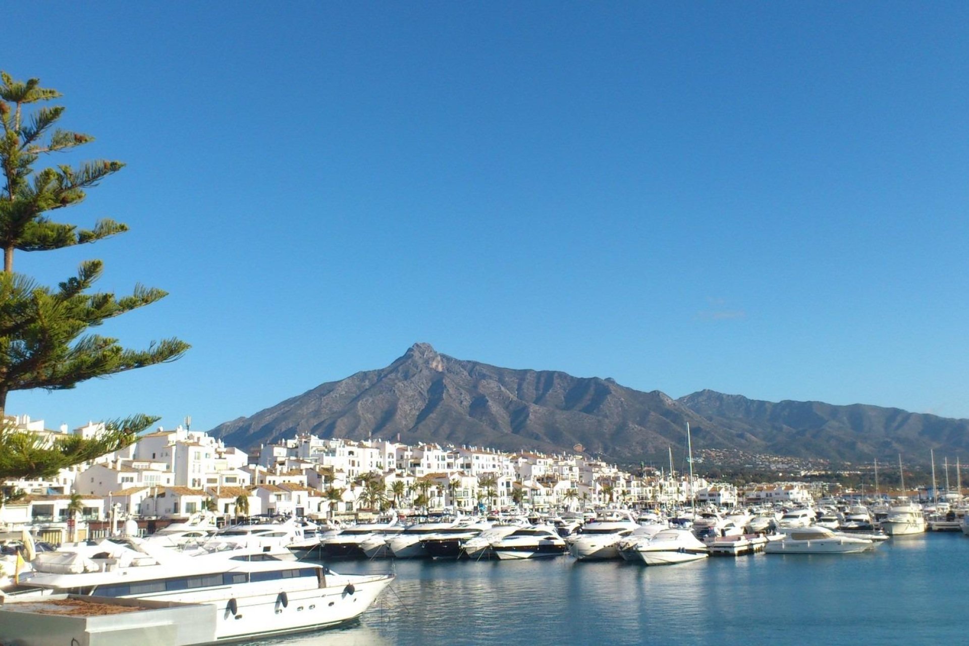 Nieuwbouw Woningen - Appartement -
Marbella - Nueva Andalucia