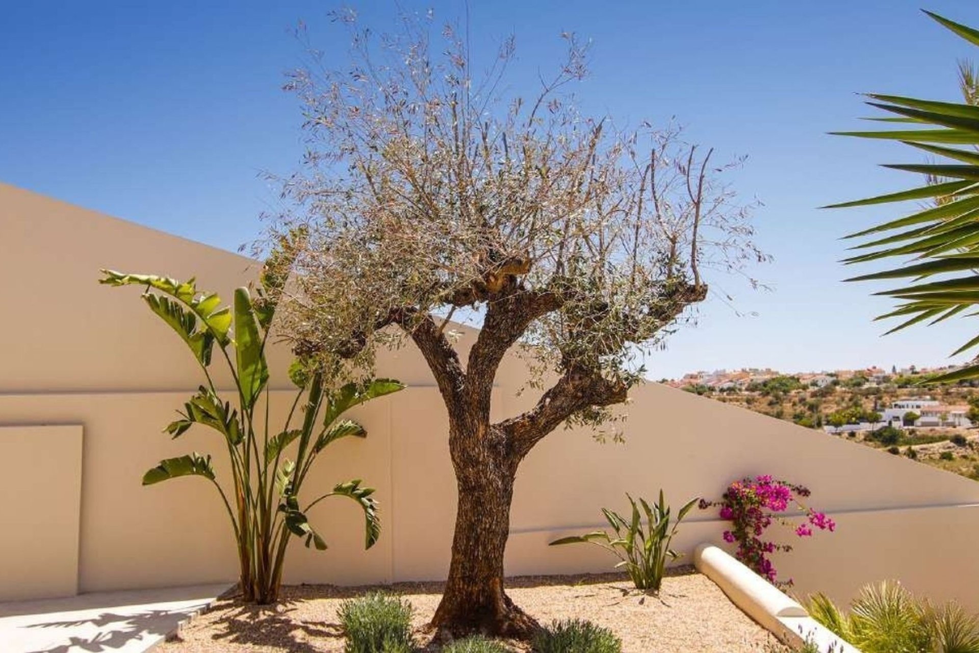 Nieuwbouw Woningen - Villa -
La Marina