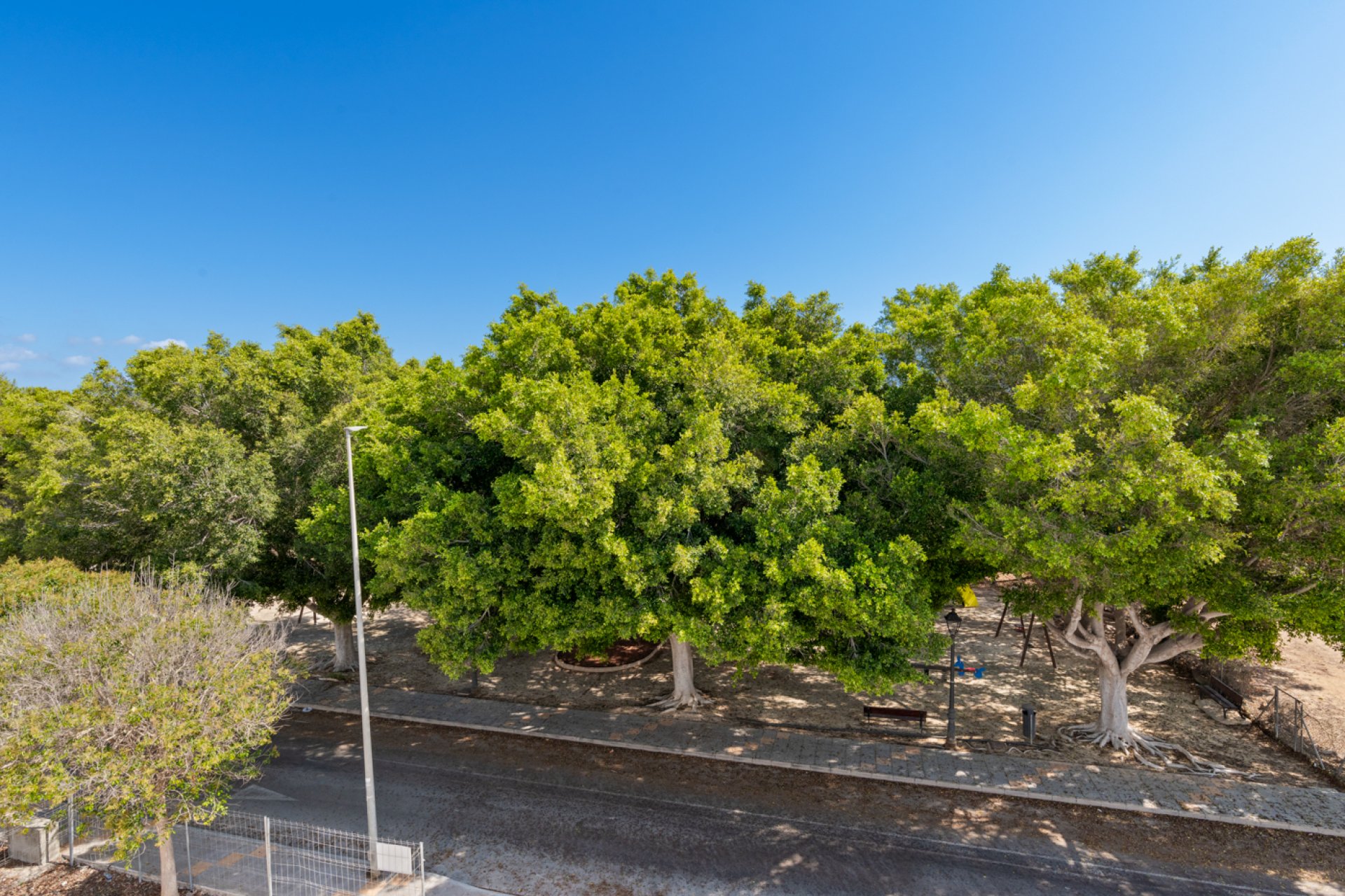 Nieuwbouw Woningen - Villa -
Pilar de la Horadada