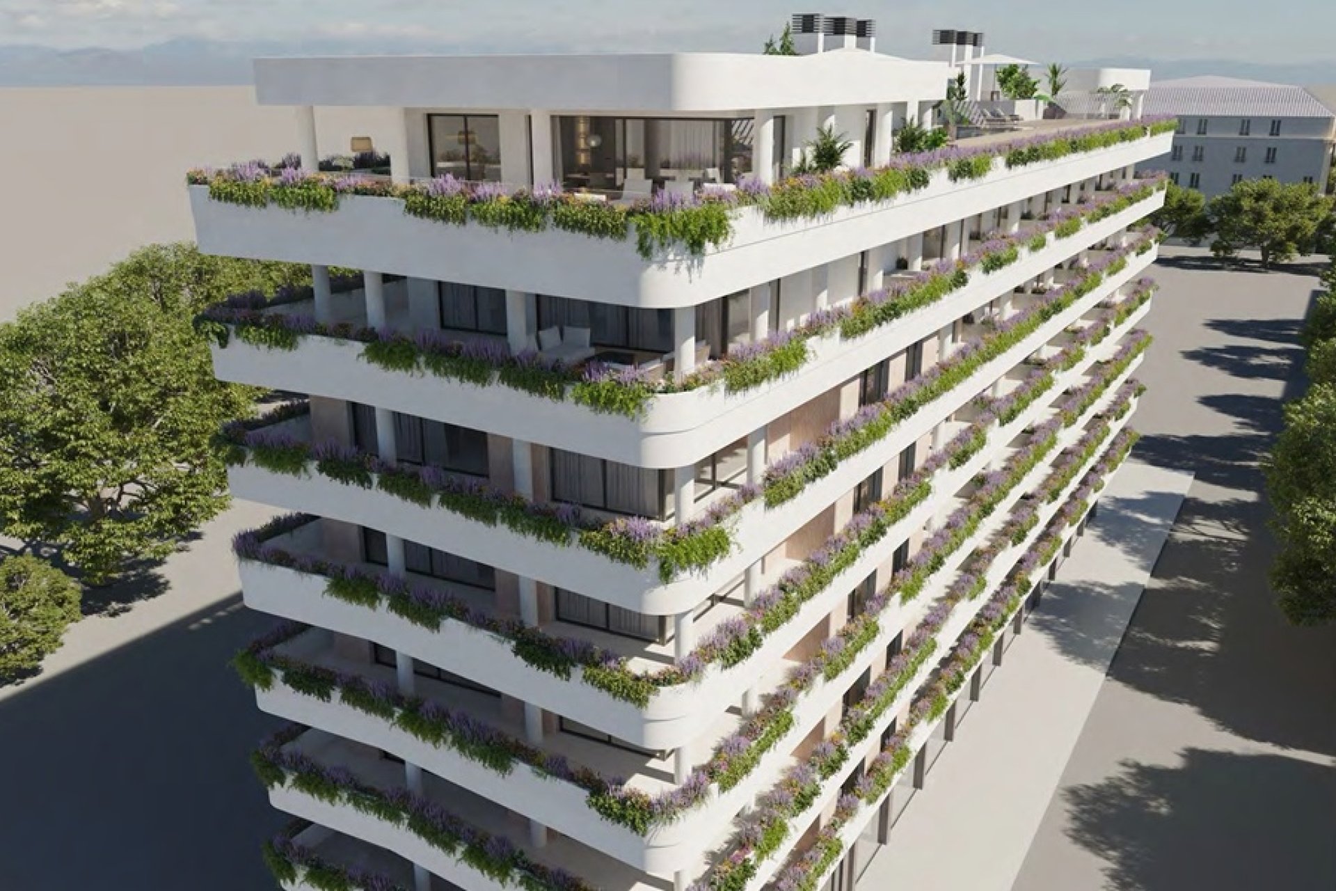 Obra nueva - Apartamento / piso -
Estepona