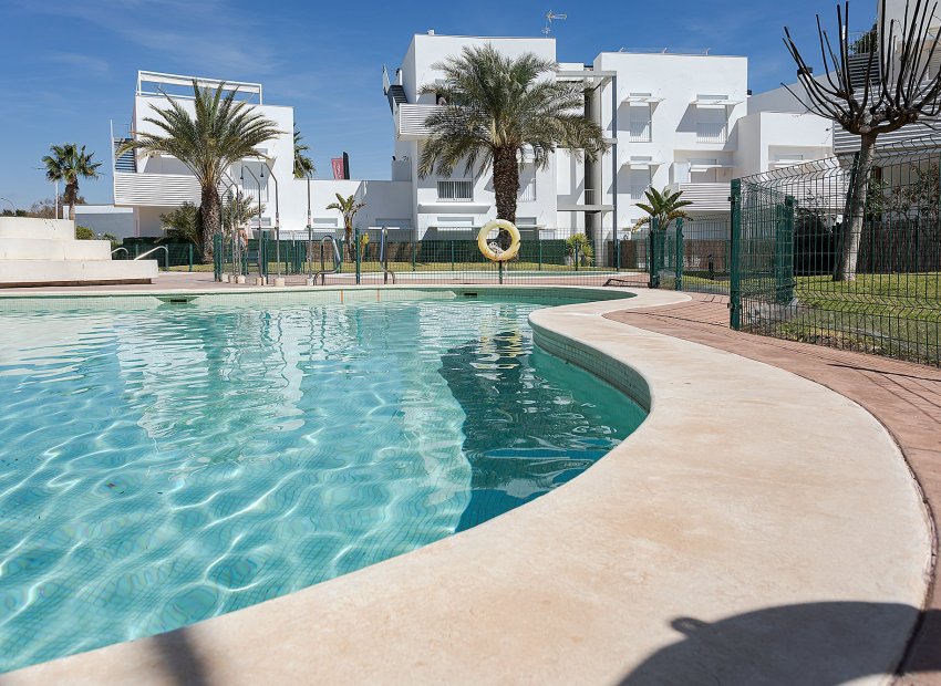 Obra nueva - Apartamento / piso -
Vera