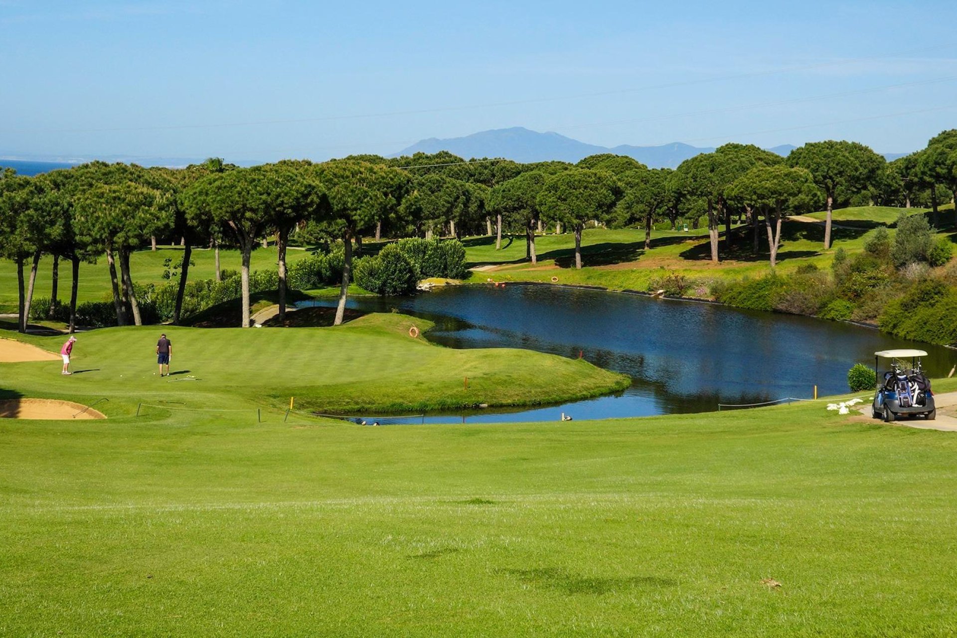 Obra nueva - Ático -
Marbella - Cabopino Golf