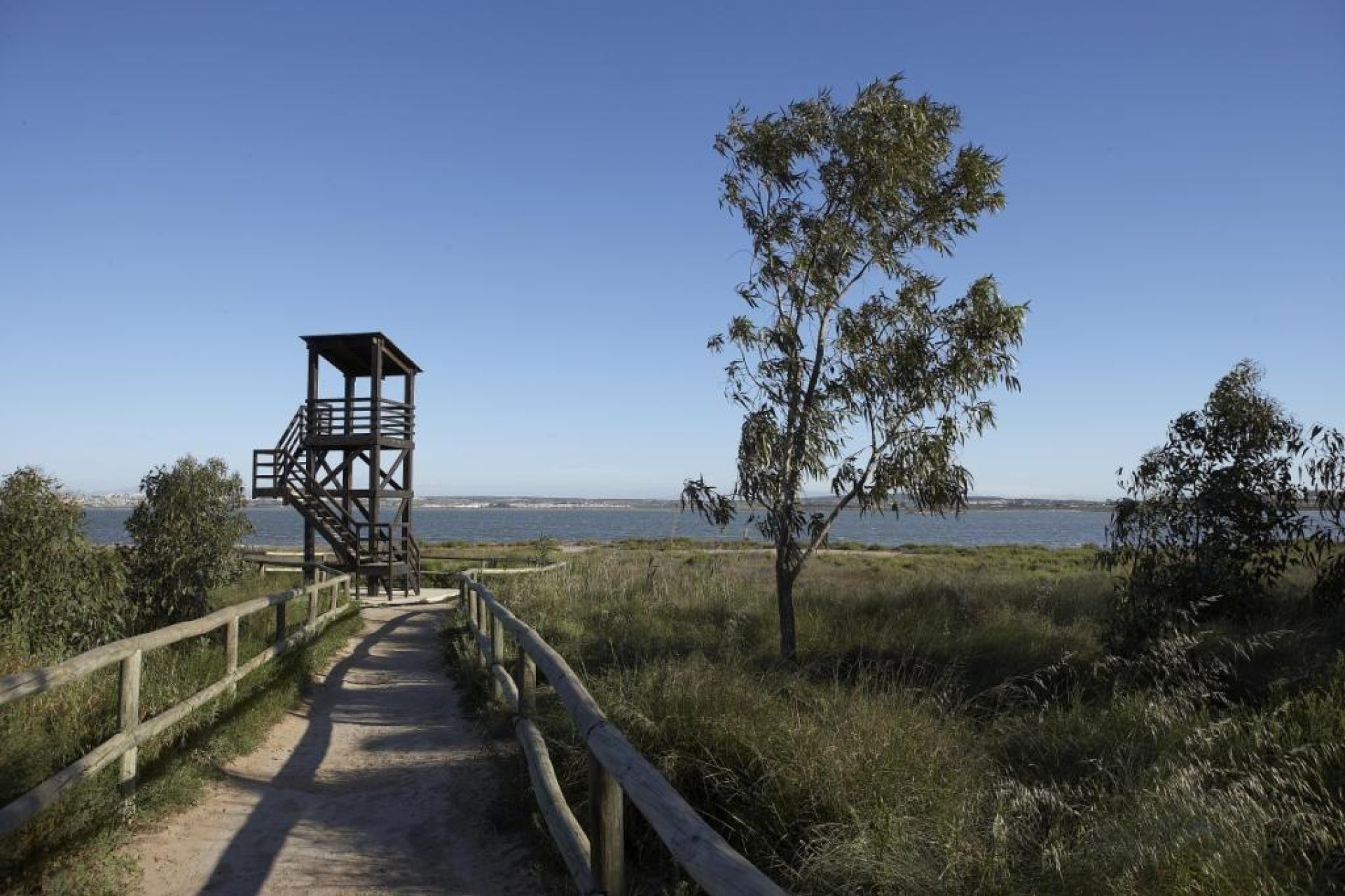 Obra nueva - Ático -
San Miguel de Salinas - Pueblo