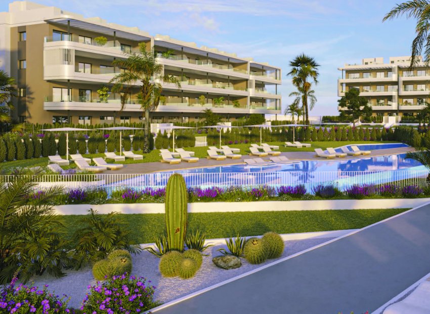 Obra nueva - Ático -
Torrevieja