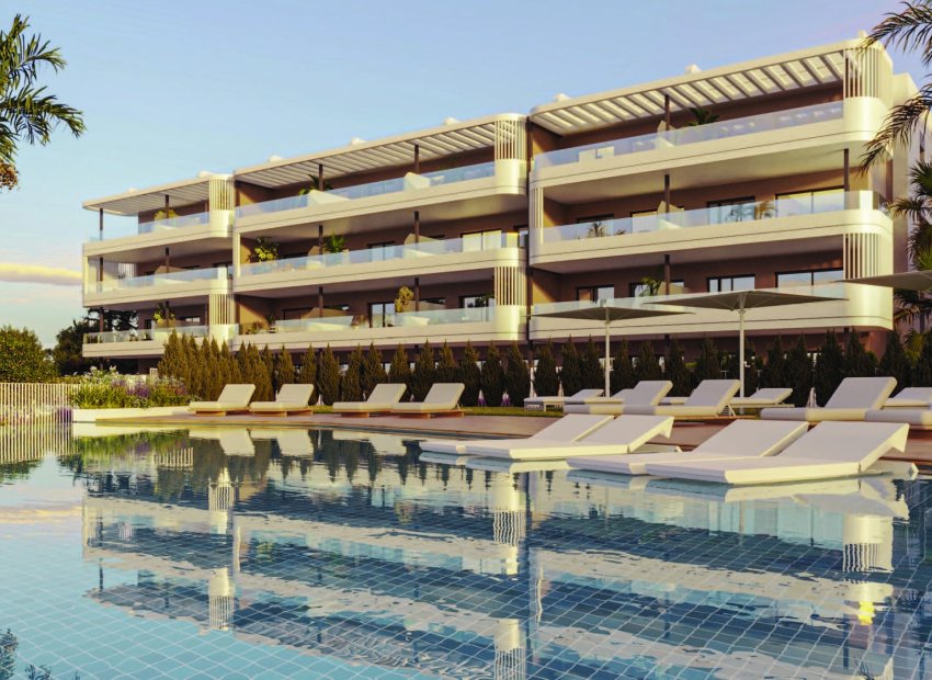 Obra nueva - Ático -
Torrevieja
