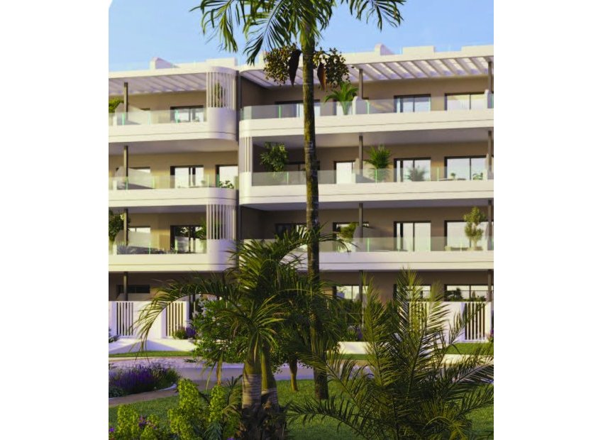 Obra nueva - Ático -
Torrevieja