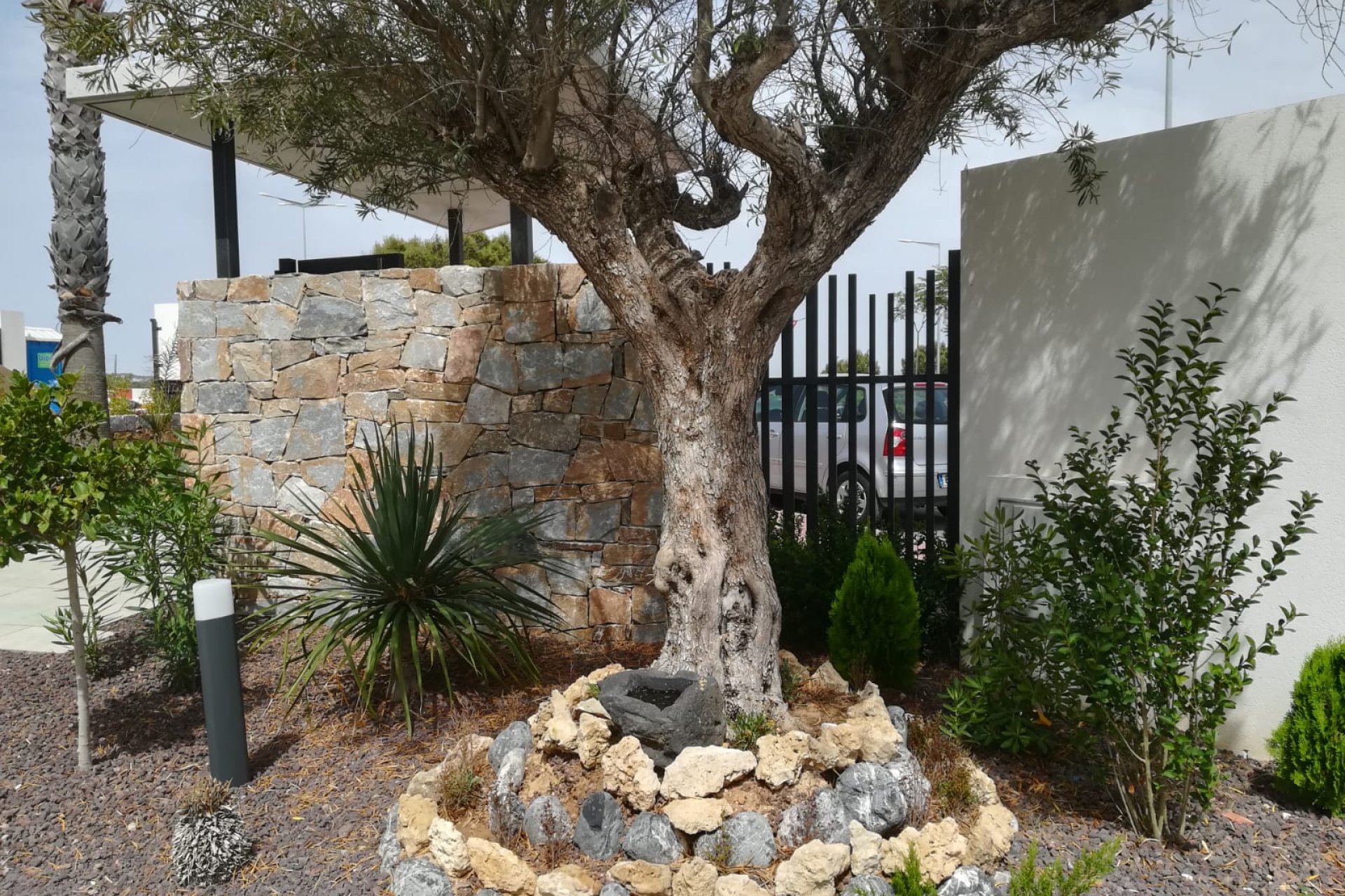 Obra nueva - Bungalow - Solarium -
Torrevieja