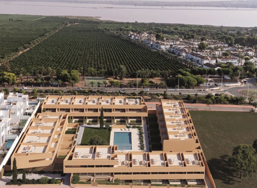 Obra nueva - Bungalow - Solarium -
Torrevieja