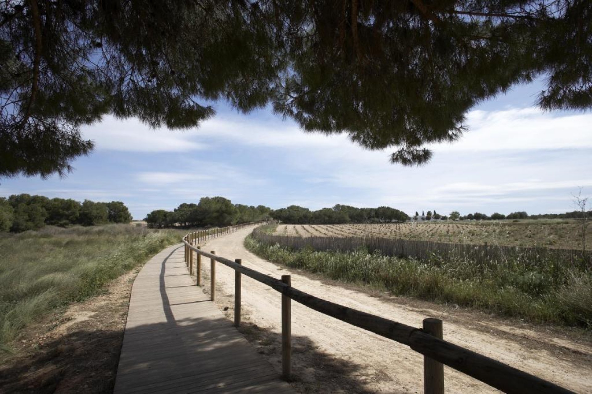 Obra nueva - Bungalow -
Torrevieja - Aguas Nuevas