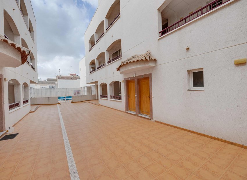 Obra nueva - Piso - Planta baja -
San Fulgencio