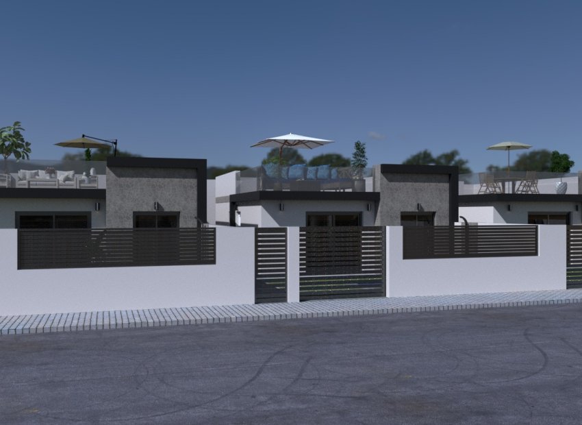 Obra nueva - Villa -
Balsicas