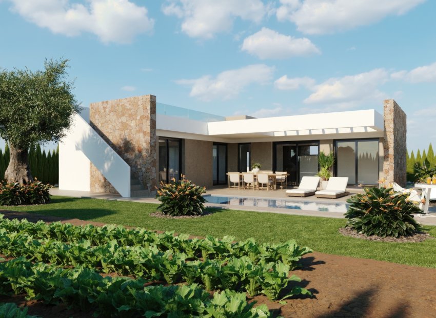 Obra nueva - Villa -
Murcia