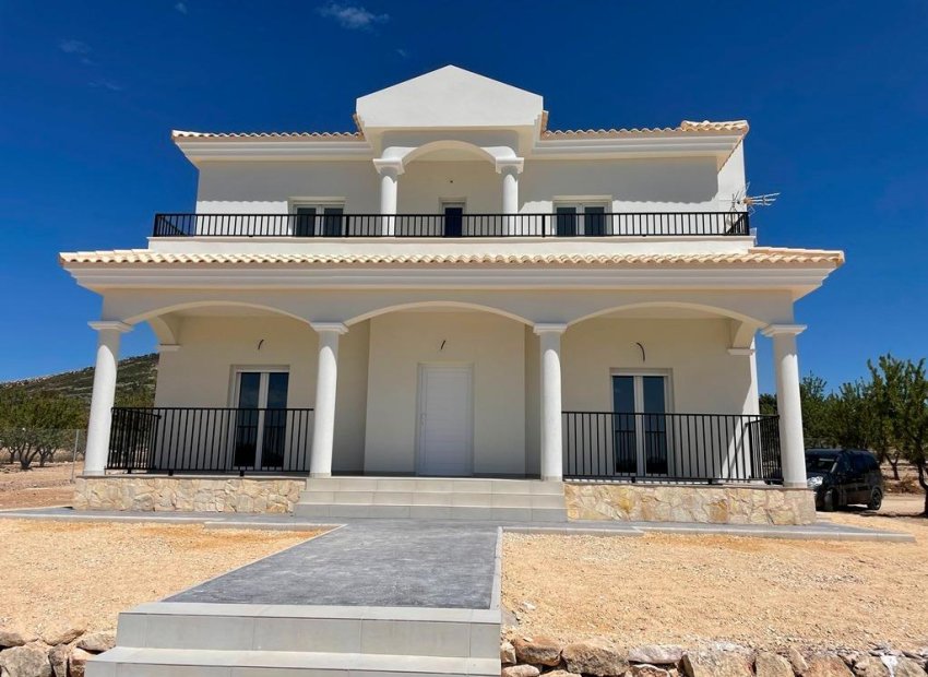 Obra nueva - Villa -
Pinoso - Camino Del Prado