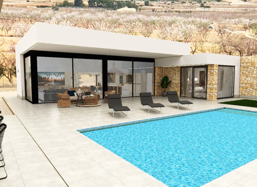 Obra nueva - Villa -
Pinoso