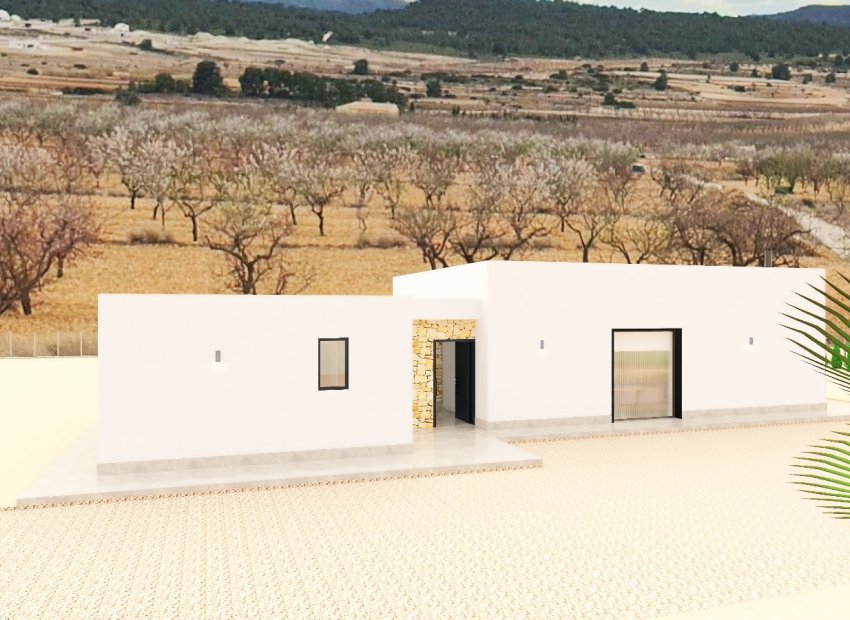 Obra nueva - Villa -
Pinoso