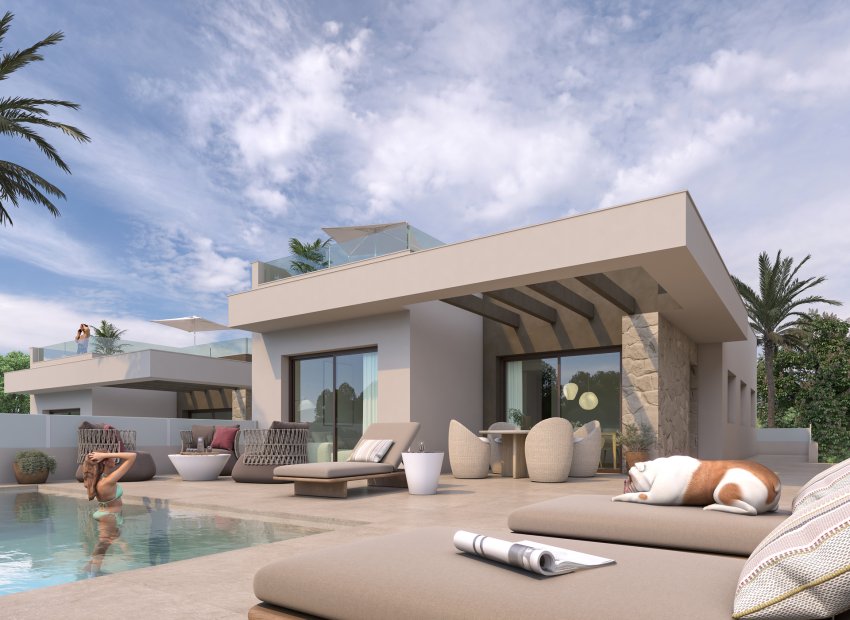 Obra nueva - Villa -
Rojales