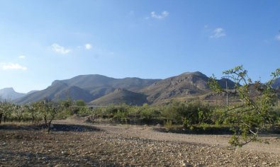 Parcela - Reventa - Murcia -
                Murcia