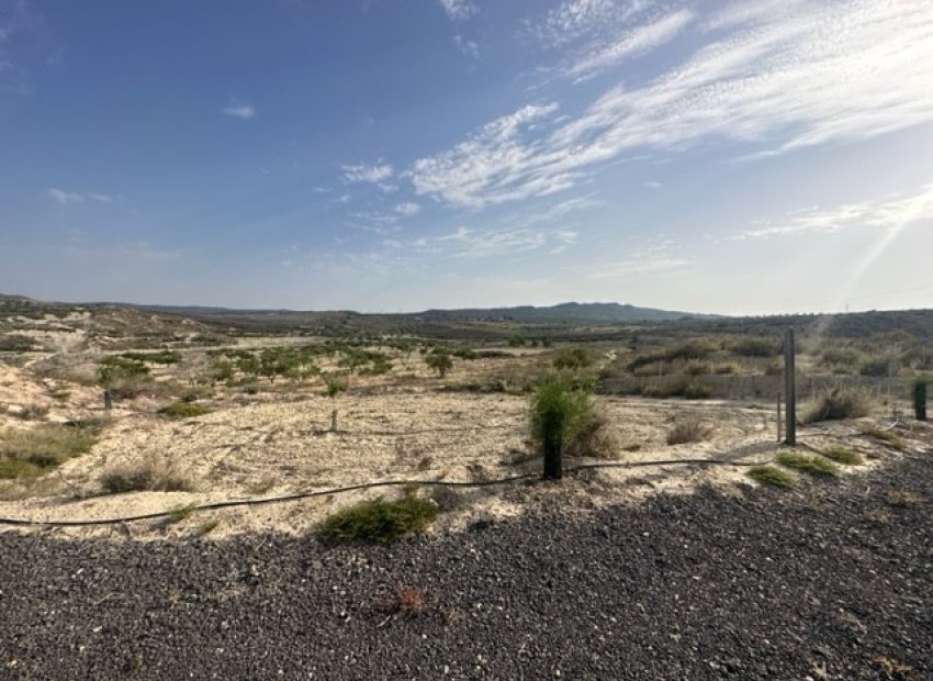 Parcela - Reventa -
            Torremendo - CW-67743