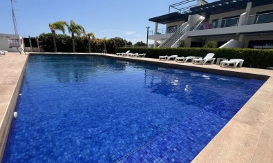 Penthouse - Bestaande bouw - Orihuela Costa -
                Los Dolses