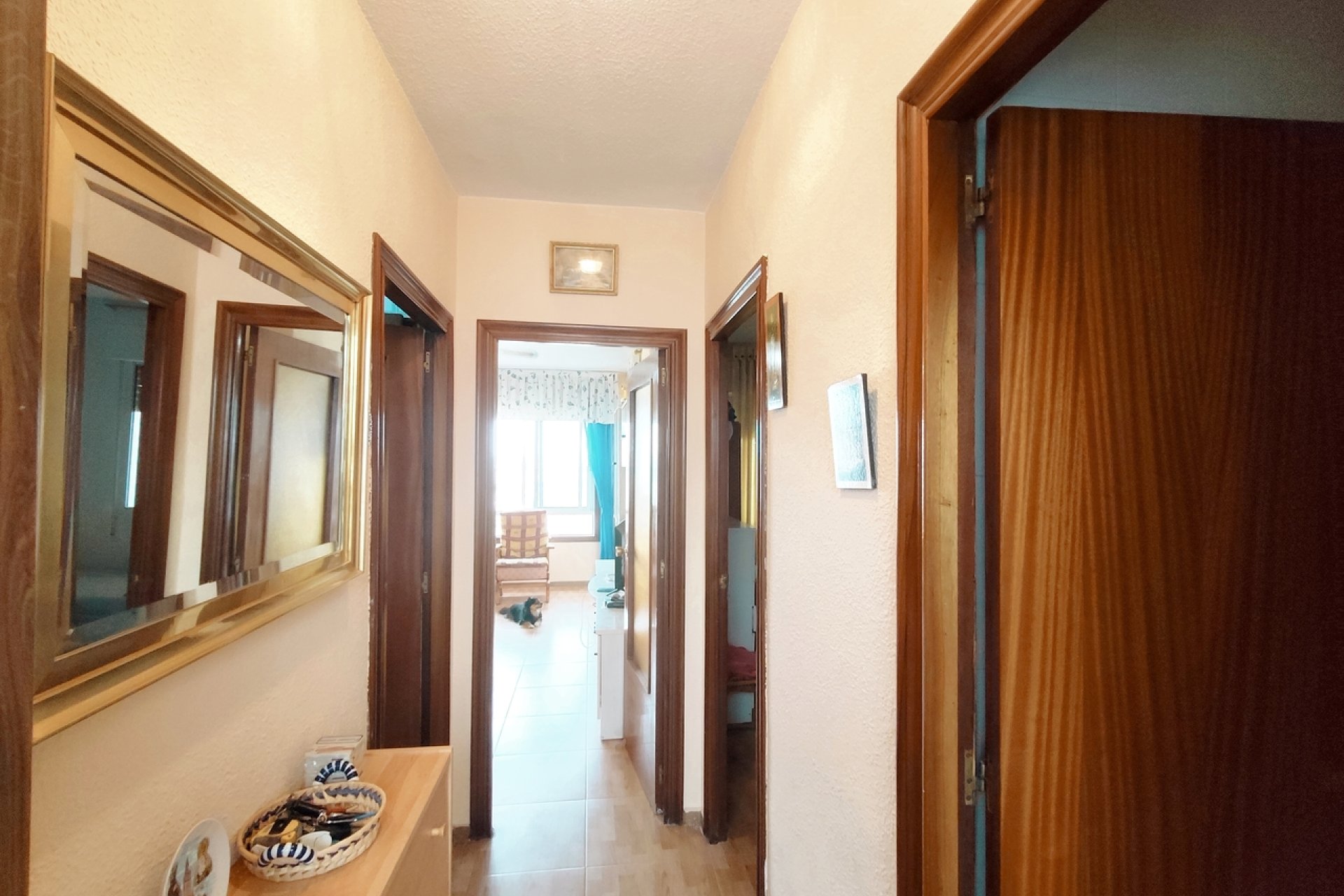 Penthouse in La Zenia with ocean views, pool, and garage