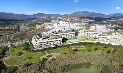 Penthouse - New Build - Cancelada -
                Cancelada