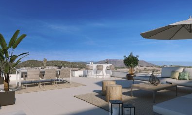 Penthouse - New Build - Casares -
                Camarate