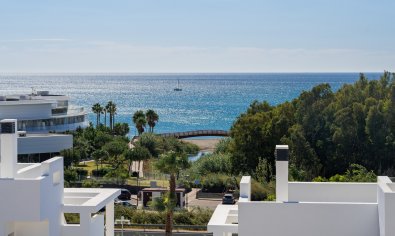 Penthouse - New Build - Estepona -
                Estepona