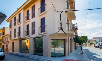 Penthouse - New Build - Hondón de las Nieves -
                Hondón de las Nieves