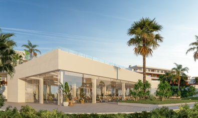 Penthouse - New Build - San Roque -
                San Roque