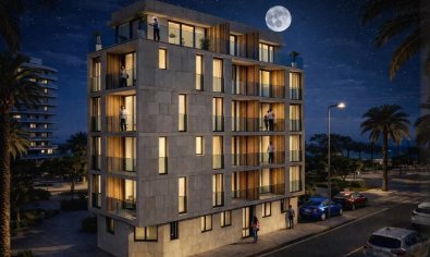 Penthouse - New Build - Torrevieja -
                Torrevieja