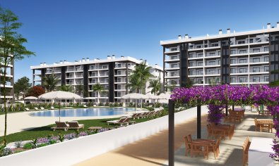 Penthouse - New Build - Torrevieja - Torrevieja