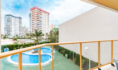 Penthouse - Nieuwbouw Woningen - Calpe -
                Calpe