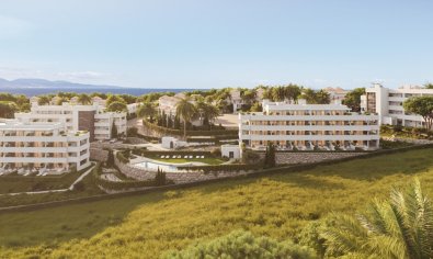 Penthouse - Nieuwbouw Woningen - Manilva -
                Manilva
