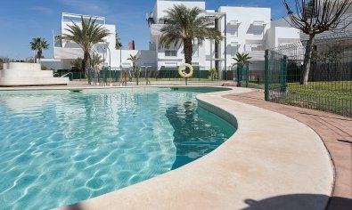 Penthouse - Nieuwbouw Woningen - Vera -
                Vera Playa