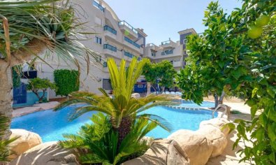 Penthouse - Resale - Cabo Roig -
                Cabo Roig
