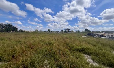 Perceel - Bestaande bouw - Catral -
                Catral